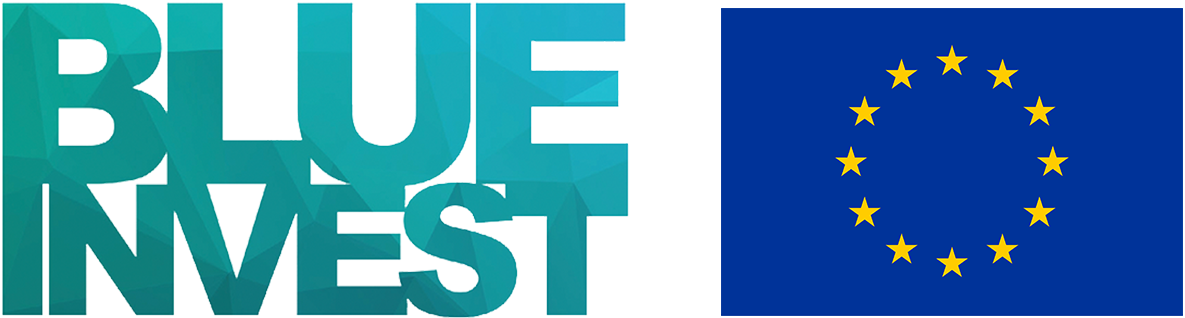 Logo_BIR